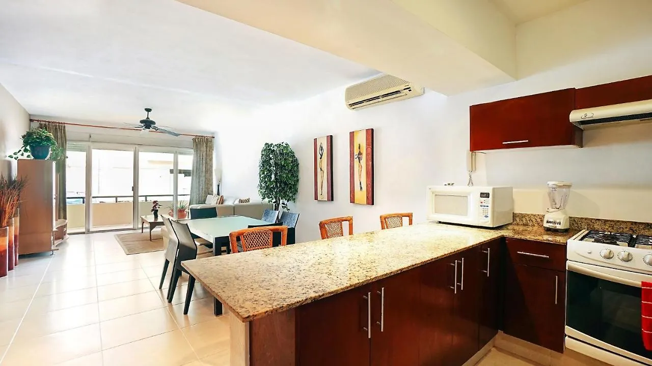 Meridian Downtown Apartments プレヤデルカーメン